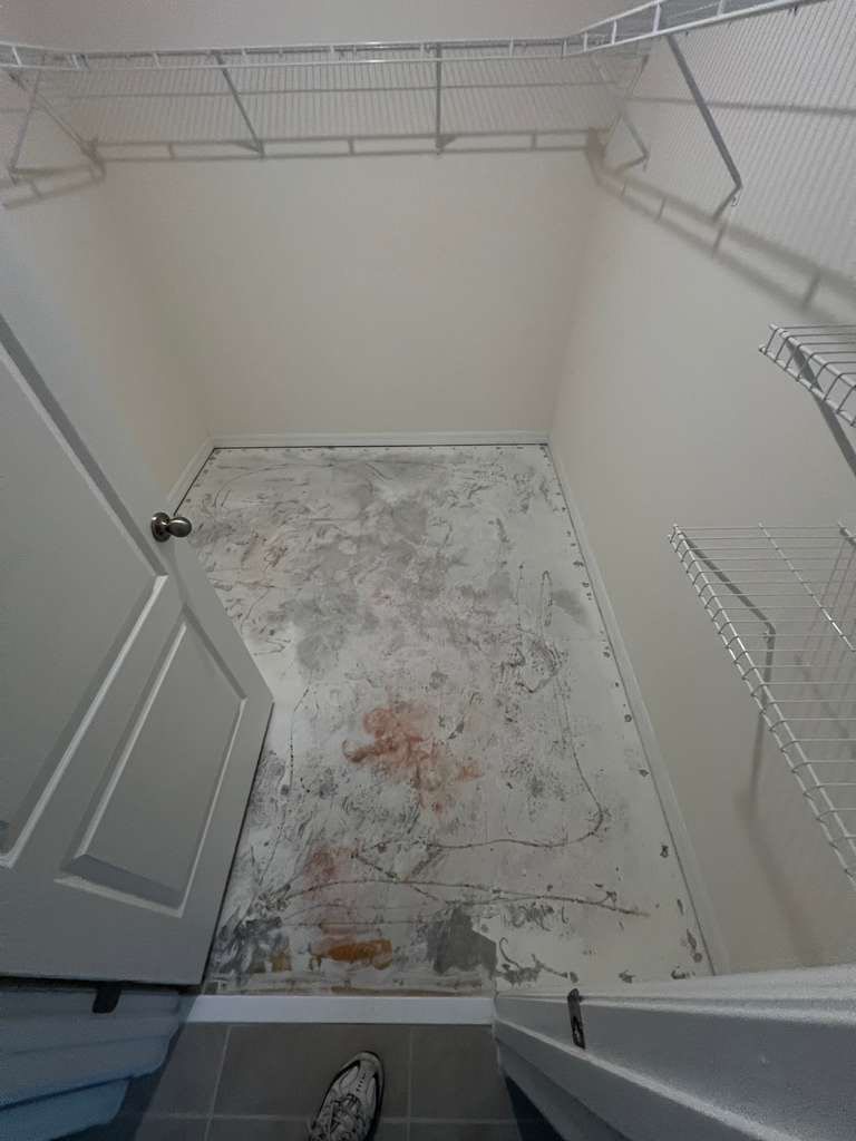 Plush Carpet Installation